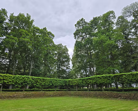20240524_150932 Visite des jardins et du château de Rosanbo