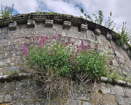 20240524_173359 Visite des jardins et du château de Rosanbo