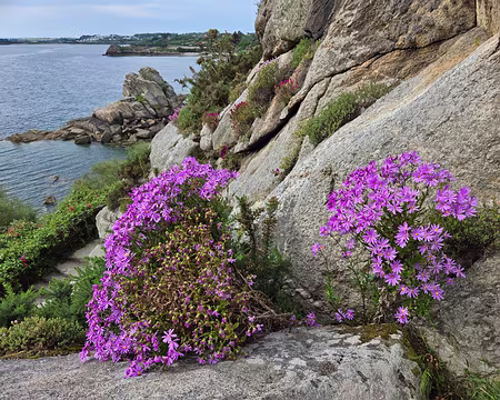 20240525_104326 Jardin Exotique & Botanique de Roscoff