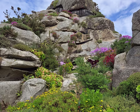 20240525_104630 Jardin Exotique & Botanique de Roscoff