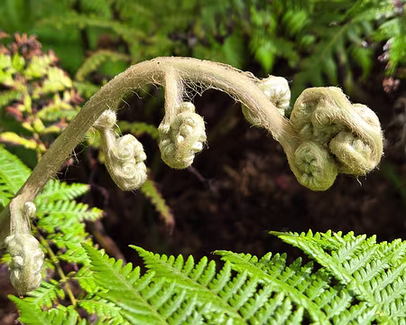 20240525_110624 Jardin Exotique & Botanique de Roscoff