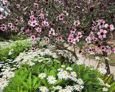 20240525_112242 Jardin Exotique & Botanique de Roscoff