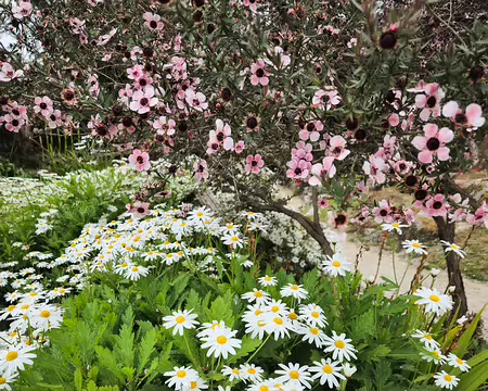 20240525_112242 Jardin Exotique & Botanique de Roscoff