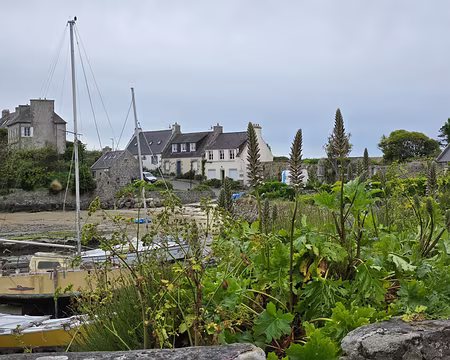 20240525_131210 Île de Batz