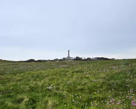 20240525_135431 Île de Batz