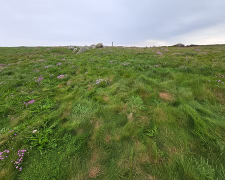 20240525_135548 Île de Batz