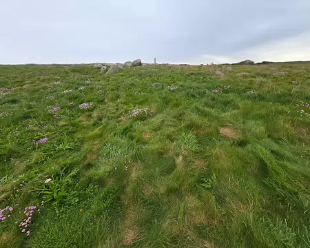 20240525_135548 Île de Batz