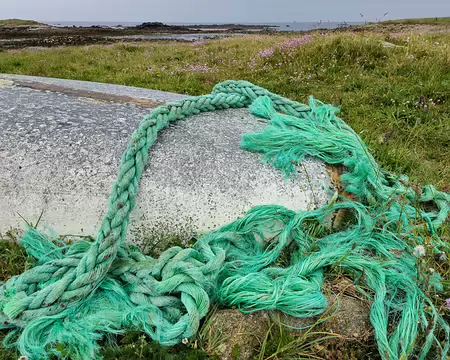 20240525_141617 Île de Batz