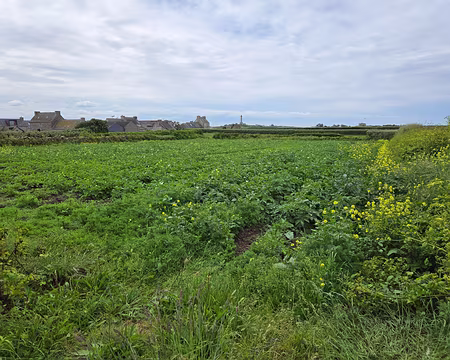 20240525_144633 Île de Batz