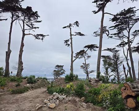 20240525_163244 Jardin Georges Delaselle après la tempête Ciaran du 2 novembre 2023