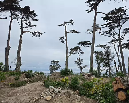 20240525_163244 Jardin Georges Delaselle après la tempête Ciaran du 2 novembre 2023