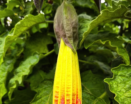 20240525_163714 Jardin Georges Delaselle