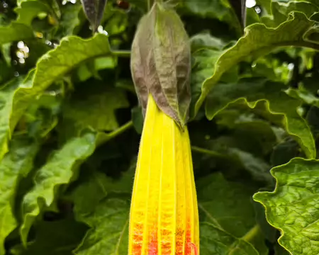 20240525_163714 Jardin Georges Delaselle