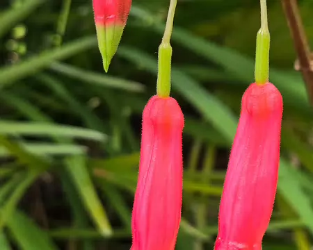 20240525_164633 Jardin Georges Delaselle