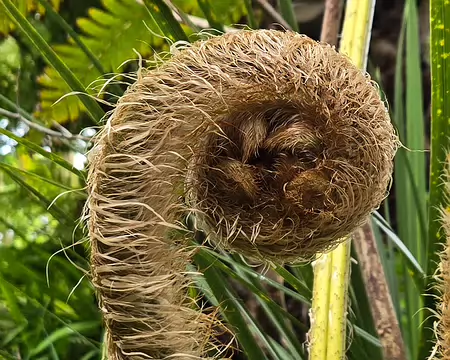 20240525_164740 Jardin Georges Delaselle