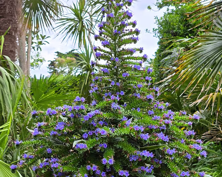 20240525_165300 Jardin Georges Delaselle