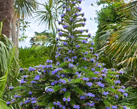 20240525_165300 Jardin Georges Delaselle