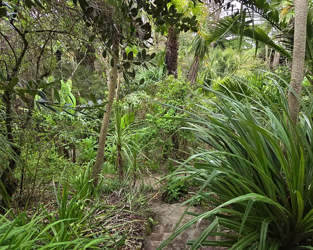 20240525_170122 Jardin Georges Delaselle