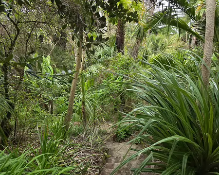 20240525_170122 Jardin Georges Delaselle