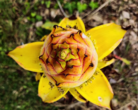 20240525_170314 Jardin Georges Delaselle