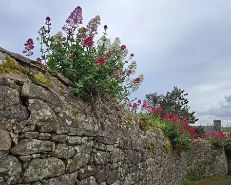 20240525_172838 Île de Batz