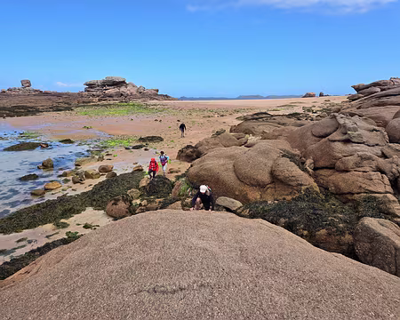 20240526_134521 J9 - Trégastel