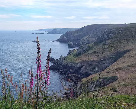 014 Côte nord du Cap Sizun