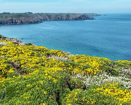 016 Pointes de Castel Meur et Pointe du Van