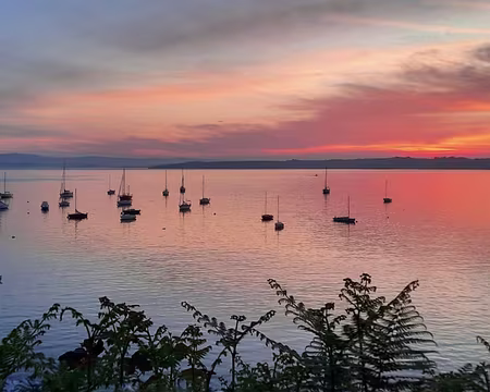 031 Vendredi 10 mai très tôt. Photo de Marie-Hélène C.