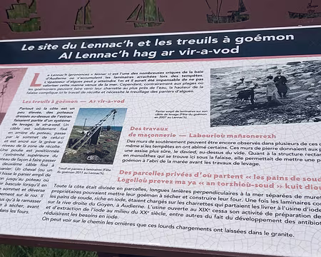 052 Tous ces petits champs séparés par des murets n'étaient donc pas des champs de patates!