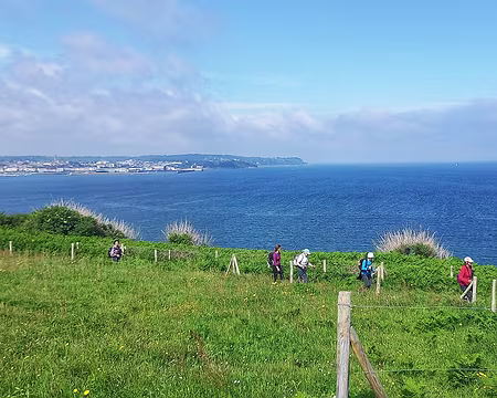 065 Douarnenez en face