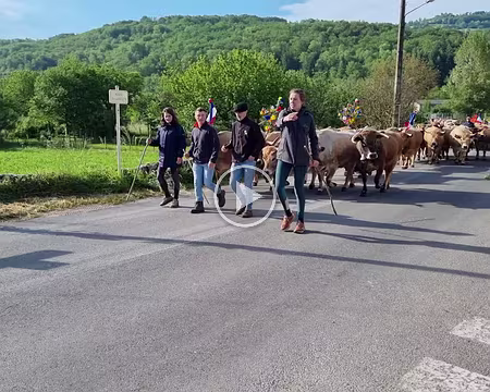 028 Troupeau arrivant à Saint-Côme d'Olt