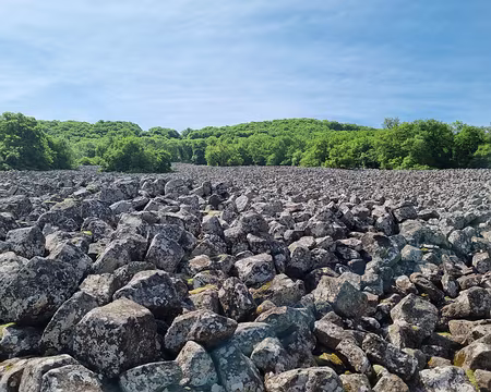 035 Clapas de Thubiés. Clapas en occitan signifie tas de pierres, éboulis. Ces éboulis ont pour origine le démantèlement d'une coulée de lave qui se positionne sur...