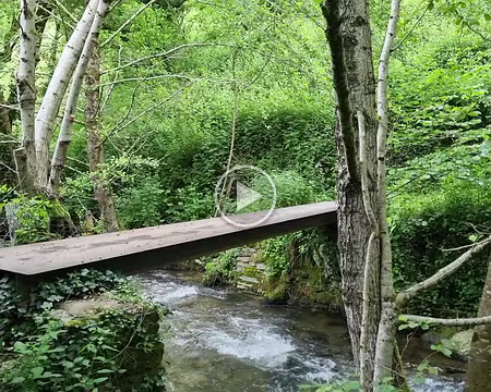071 Passerelle sur l'Ouche