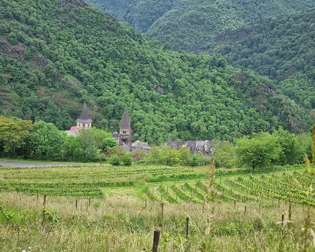 078 Vignoble AOP de Marcillac, tout proche de Conques : des vins authentiques, un territoire de caractère, un cépage unique : le Mansois