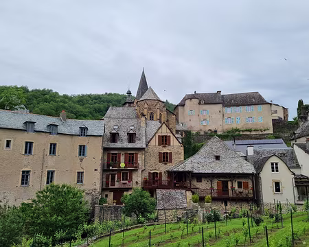 121 Petite vigne à Estaing
