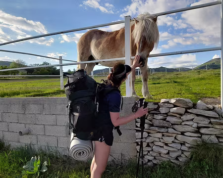 005 6 - Le randonneur itinérant est un ami des bêtes – Saint Etienne des Orgues.