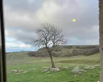 Aubrac_080 Par la fenêtre du Buron, l’arbre magique sous lequel il faut se placer pour avoir du réseau…