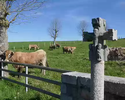 Aubrac_225 Vieille croix biface