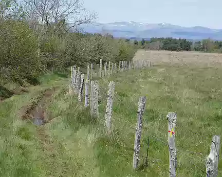 Aubrac_260 Au loin, les Monts du Cantal, restes de neige