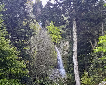 20240520_095018 Le Saut du Gier qui prend sa source à la Jasserie du Pilat ...
