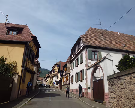 P1190015 Dambach-la-Ville