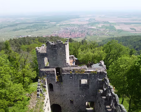 P1190027 Le château domine la plaine d'Alsace.