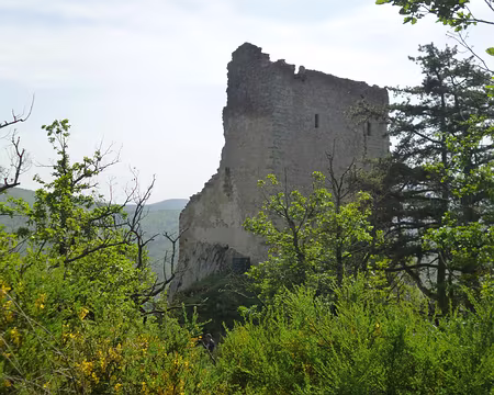 P1190031 Château de Ramstein (alt. 390 m.)