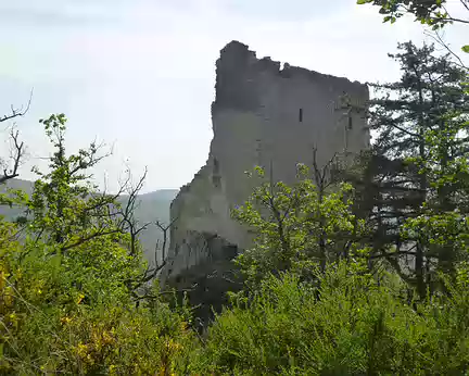 P1190031 Château de Ramstein (alt. 390 m.)