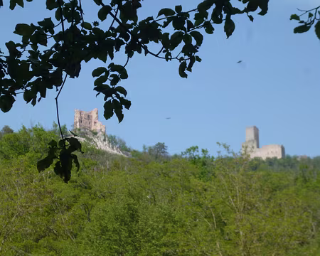 P1190033 Châteaux de Ramstein et Ortenbourg