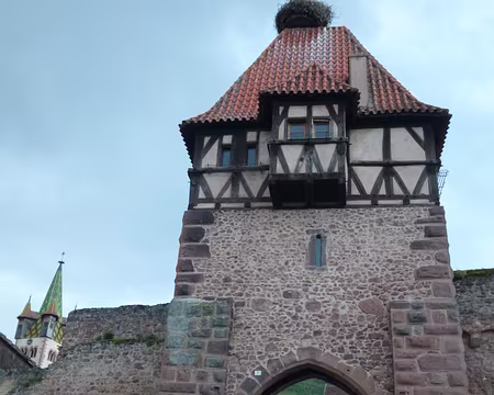 P1190040 Tour des Sorcières (1402), Châtenois