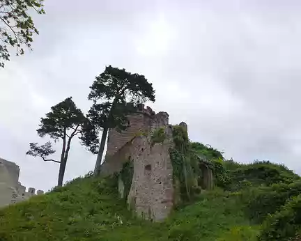 P1190054 Ruines du château du Haut-Ribeaupierre (alt. 643 m.)
