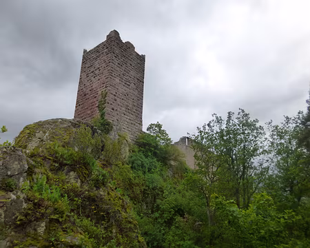 P1190059 Château de Saint-Ulric