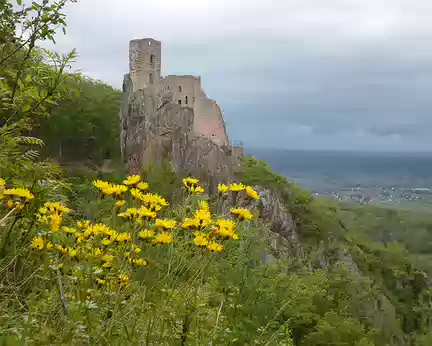 P1190061 Château du Girsberg en gravissant la tour de Saint-Ulrich